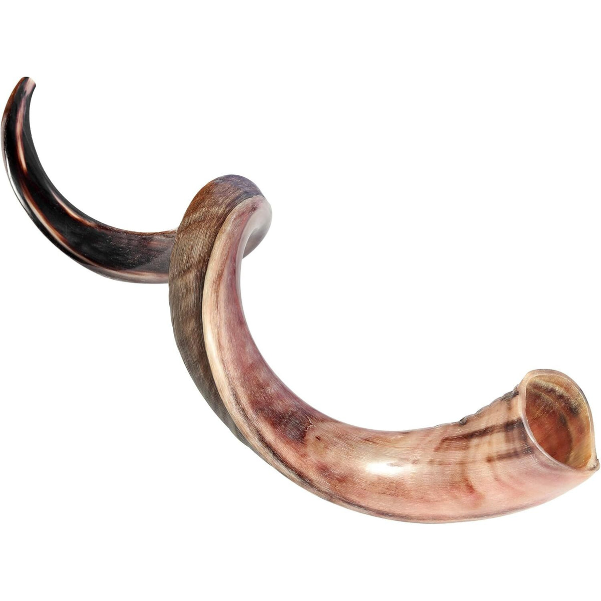 Natural Ram’s Horn Kudu Shofar Horn