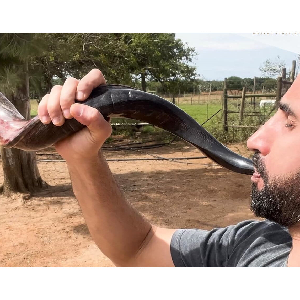 Natural Ram’s Horn Kudu Shofar Horn