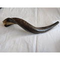 Natural Ram’s Horn Kudu Shofar Horn