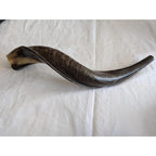 Natural Ram’s Horn Kudu Shofar Horn