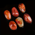 1-lb Natural Agate Polished Stone Collection