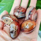 1-lb Natural Agate Polished Stone Collection