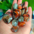 1-lb Natural Agate Polished Stone Collection