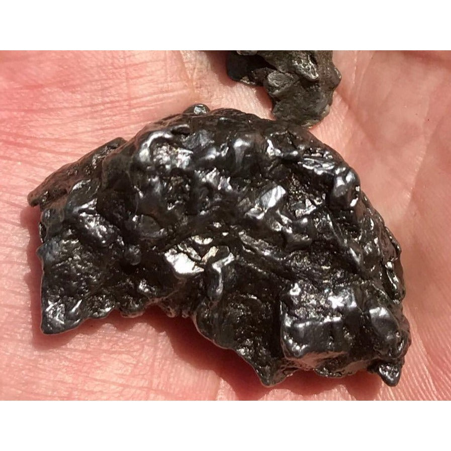 Genuine Meteorite Campo del Cielo Specimen