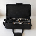 Clarinet with Case and Accessories