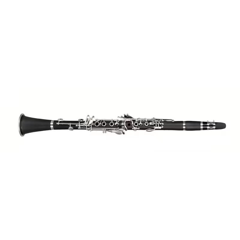 Clarinet with Case and Accessories
