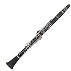 Clarinet with Case and Accessories