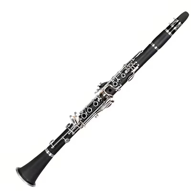 Clarinet with Case and Accessories