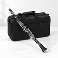 17-Key B-Flat Clarinet Set with Hard Case