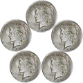5-Pc 1922 Liberty Peace Coin Set