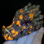 Natural Glowing Dragon Skull Hand Carved
