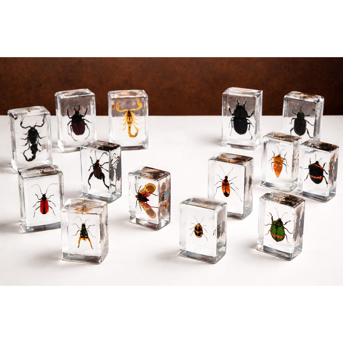 Lot of 15 Insects in Clear Resin