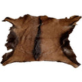 Real Antelope Goat Hide