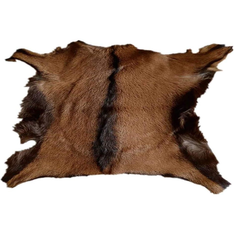 Real Antelope Goat Hide
