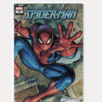 Original Signed Comics by Artiest Spider Comic Book NM Condition